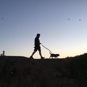 Meet your Posher, Henry